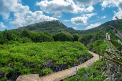 Christmas-Island  National Park