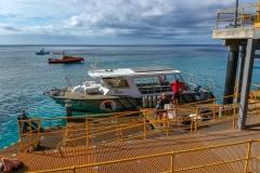 Flying Fish Cove Beach